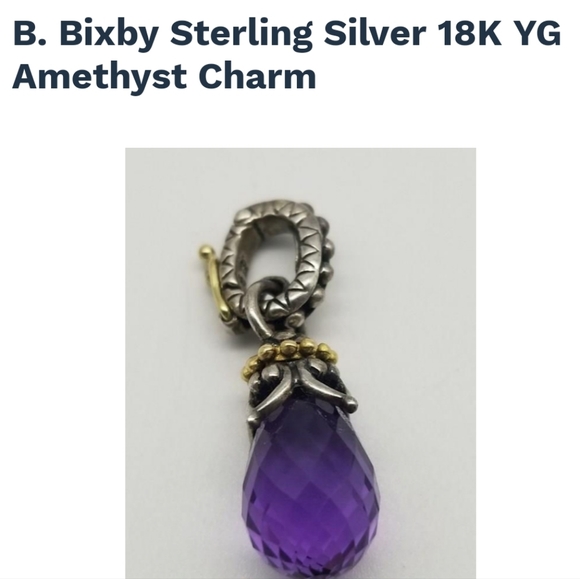 Barbara Bixby Amethyst charm or Pendant